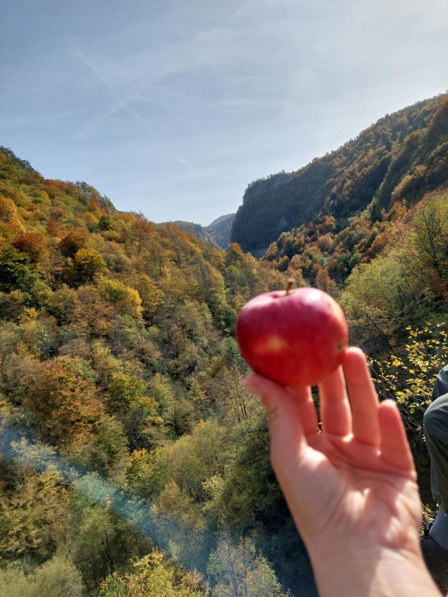 Carobna Kuca Jahorina Villa Bagian luar foto